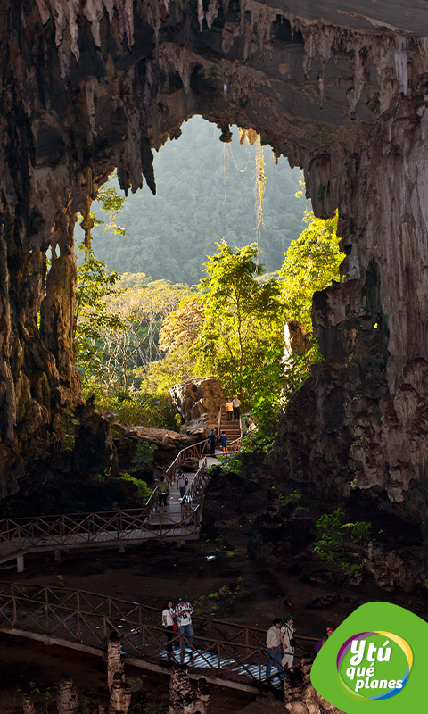 Cueva de las lechuzas en el Parque Nacional Tingo María.